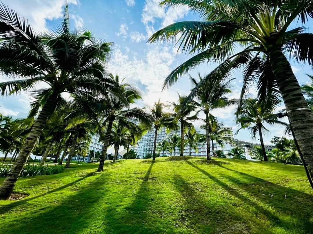 22afa28aff1b5045090a